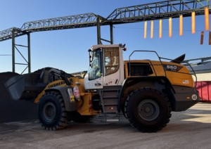 LIEBHERR L550